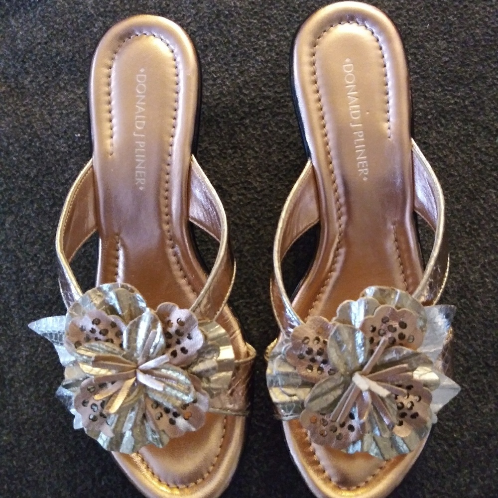 Shoe/Sandel